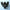 Size 1 Black Rubber Stoppers (Count 6) - Avogadro's Lab Supply