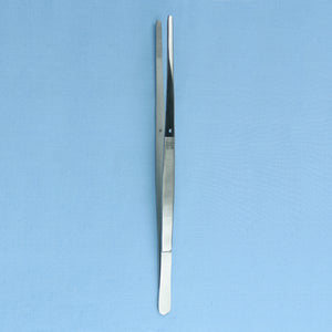 10" Specimen Forceps - Avogadro's Lab Supply